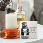 Funny Otter Bathroom Decor - Otter Gifts Wooden Box Sign, Funny Bathroom Decor, Otter Gifts for Otter Lovers, 8 X 8 Inches - Image 4