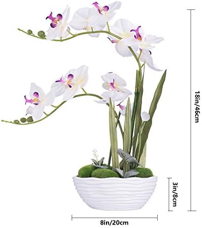Large Silk Potted Orchid Arrangement in Oval Ribbed Ceramic Pot, White - Image 7