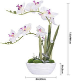 Large Silk Potted Orchid Arrangement in Oval Ribbed Ceramic Pot, White - Image 7