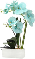 Artificial Real Touch Orchid Flowers with White Ceramic Vase, Golden Blue by FuleHouzz