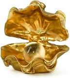Pearl Oyster Statues Home Decor Accent Gold Decorations by ZHAOXIANG