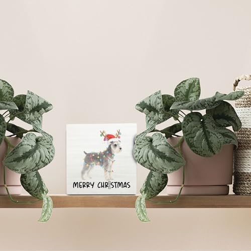 Schnauzer Merry Christmas Wooden Box Sign Desk Decor, Schnauzer Gifts, Christmas Dog Wood Block Sign for Home Bedroom Office Desk Table Shelf Wall Decorations, 5x5 Inch - Image 3