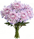 Artificial Chrysanthemum Silk Flowers, 6 Large Bloom Stems 19 Inch by Unknown