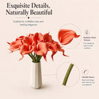 Mandy's 20pcs Coral Calla Lily Artificial Flowers - Image 4