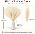 Mandy's 20 Stems Ivory Silk Pampas Grass Bouquet - Image 3
