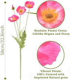 Artificial Poppies, Blush Pink Silk Poppies Artificial Flowers - 24x Blooming California Poppy Flower Artificial Plus 8X Buds for Home Decoration, PKPK8 - Image 2