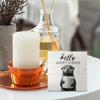 Funny Otter Bathroom Decor -Hello Sweet Cheeks Bathroom Decor, Otter Gifts Wooden Box Sign, Otter Gifts, 5 X 5 Inches - Image 4
