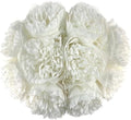 2 Bouquet 10Heads Artificial Fake Peony Flowers Silk Faux Flower for Home Office Party Wedding Decorations by SOFTKIDS