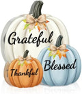 Fall Decor Thanksgiving Tabletop Pumpkin Sign, Grateful Thankful Blessed by Unknown