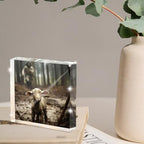 Christian Jesus And Lamb Religious Acrylic Desktop, Spiritual Gifts for Christian Women, Home Decor for Everyday Encouragement, Lost Lamb Themed Office And Faith-Based Home Decor 4x4 Inch - Image 4
