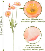 Artificial Poppies, Coralline Silk Poppies Artificial Flowers - 24x Blooming California Poppy Flower Artificial Plus 8X Buds for Home Decoration, COCO8 - Image 2