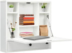 WATERJOY Small Wall Foldable Hideaway Storage Cabinets by WATERJOY