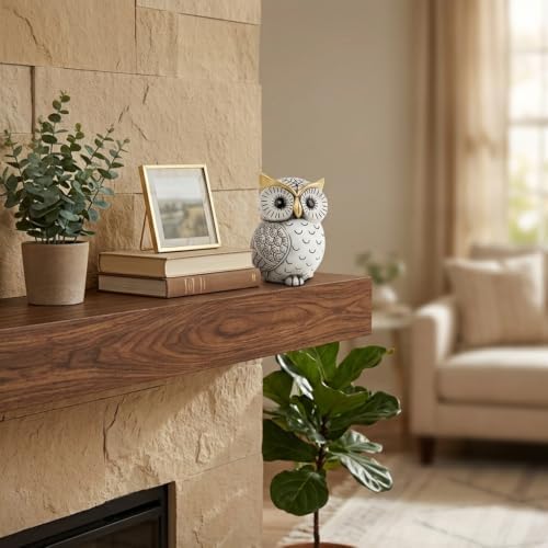 Smadeer Black and White Owl Statue, Small Resin Owl Boho Shelf Decor - Image 6