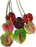 8pcs Artificial Anthurium Flower Branch 60cm 3D Printing Effect Faux Real Touch Single Stem per Piece Anthurium for Home Table Floral Decoration (deep Pink) - Image 7