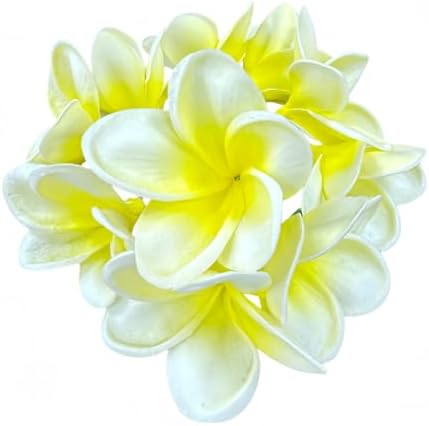10 pcs White in Yellow Hawaiian Plumeria Flowers Artificial -1.5" Stems by Unknown