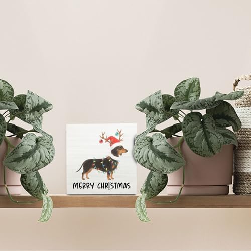 Dachshund Merry Christmas Wooden Box Sign Desk Decor, Weiner Dog Lover Gifts, Christmas Sausage Dog Wood Block Sign for Home Bedroom Office Desk Table Shelf Wall Decorations, 5x5 Inch - Image 3