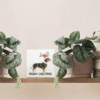 Dachshund Merry Christmas Wooden Box Sign Desk Decor, Weiner Dog Lover Gifts, Christmas Sausage Dog Wood Block Sign for Home Bedroom Office Desk Table Shelf Wall Decorations, 5x5 Inch - Image 3