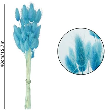 Uieke 17’’ Natural Bunny Tails Dried Flowers, 50 Pcs Dried Lagurus Ovatus, Dried Foxtail Grass for Flower Arrangements Wedding Centerpieces Home Boho Baby Shower Party Decorations (Blue) - Image 4