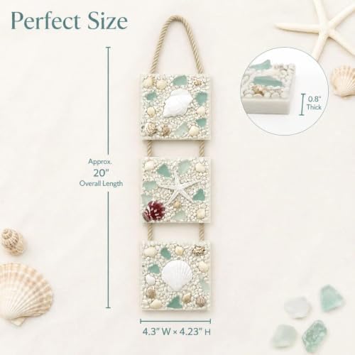 flangairy 20" 3D Seashell Starfish Conch Beach Wall Hanging Decor - Image 2