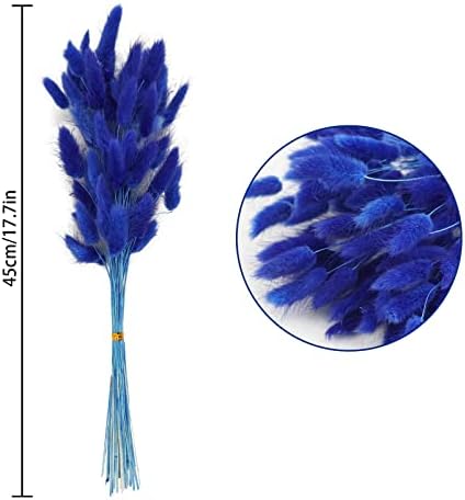 Uieke 17’’ Natural Bunny Tails Dried Flowers, 120 Pcs Dried Lagurus Ovatus, Dried Blue Pampas Grass Decor for Farmhouse Flower Arrangements Wedding Home Party Decorations - Image 4