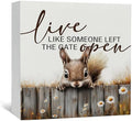 Squirrel Sign - Squirrel Gifts For Women, Live Like Someone Left The Gate Open Wooden Box Signs, Farmhouse Wood Decoration Home Decor For Desk Table Shelf 5x5 Inch by Nitelat