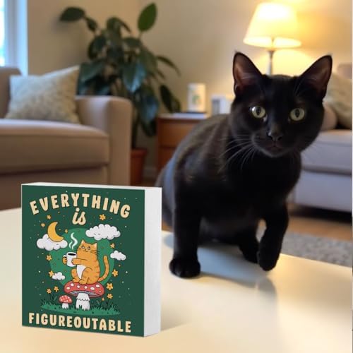Inspirational Office Desk Decor Everything Is Figureoutable Sign Motivational Gifts For Women Kids - Mental Health Decor Funny Cat Coffee Desk Art Calming Corner Decorations For Classroom - Image 4