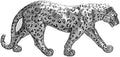 Cheetah Statue Home Decor Leopard Sculpture Resin Sitting Cheetah Figurine Desktop Table Top Ornament Decoration for Home Office-Gold Or Silver (Walking-Silver) by Polyroyal
