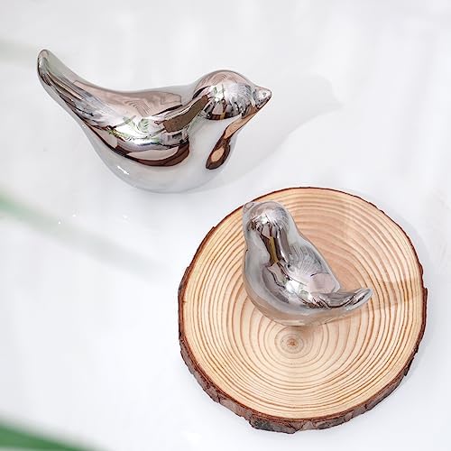 Notakia Silver Bird Figurines Set of 2 Small Bird Statues Home Decor - Image 3