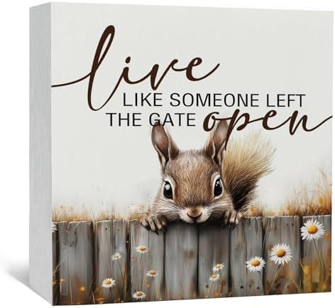 Squirrel Sign - Squirrel Gifts For Women, Live Like Someone Left The Gate Open Wooden Box Signs, Farmhouse Wood Decoration Home Decor For Desk Table Shelf 8x8 Inch Decorative Signs & Plaques by Nitelat