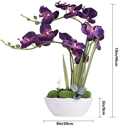 Large Silk Potted Orchid Arrangement in Oval Ribbed Ceramic Pot Dark Purple - Image 7