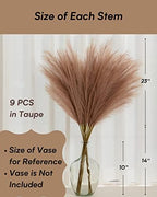 Faux Pampas Grass, 9 PCS 37''/3.1FT Tall Fluffy Fake Pompas Floral, Large Artificial Pompous Grass Branches for Floor Vase Fillers, Boho Farmhouse Room Wedding Decor (Taupe) - Image 3