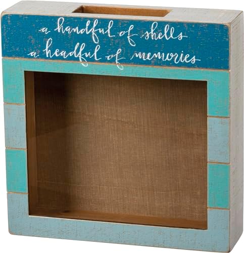Primitives by Kathy Seashell Holder - Coastal Decor, Glass Display, Treasure Chest, Room and Bedroom Decor - Image 3