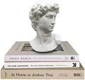 Greek Statue of David - Head Bust for Mythology and Roman Home Decor by Banhey