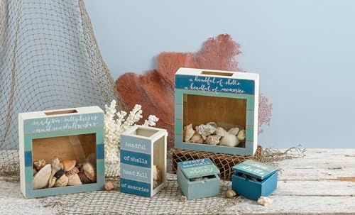 Primitives by Kathy Seashell Holder - Coastal Decor, Glass Display, Treasure Chest, Room and Bedroom Decor - Image 4