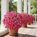 Rose Red Artificial Morning Glory Flowers for Outdoor Planters, Premium UV Resistant Silk Faux Flowers for Porch, Hanging Basket & Window Box, Summer Garden Decor, No Pot, 13.3 Inch, 8 Bundles - Image 4