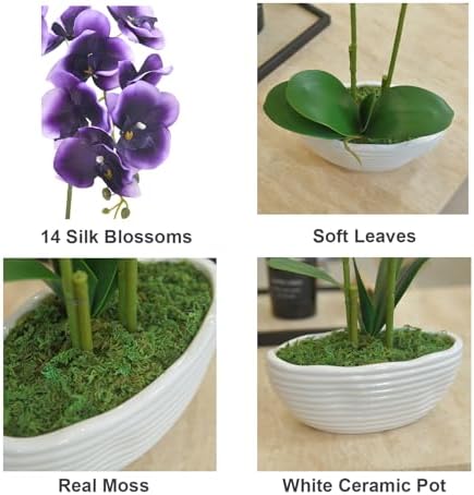 Large Artificial Orchid Arrangement in Oval Ribbed Ceramic Pot, Deep Purple - Image 2