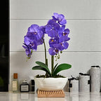 Large Artificial Orchid Arrangement in Oval Ribbed Ceramic Pot, Purple - Image 6