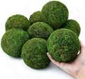 Qingbei Rina Large Green Moss Balls Decorative(4"-Set of 6) by QingbeiRina