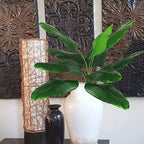 Artificial Banana Tree Plants Imitation Bird of Paradise Plant Faux Tropical Greenery Leaves Bush Fake Large Leaf for Indoor Outdoor Home Kitchen Party Flowers Arrangement Wedding Decorations 2 Pack - Image 3