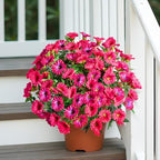 Rose Red Artificial Morning Glory Flowers for Outdoor Planters, Premium UV Resistant Silk Faux Flowers for Porch, Hanging Basket & Window Box, Summer Garden Decor, No Pot, 13.3 Inch, 8 Bundles - Image 5