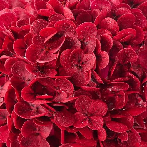 8 Pcs Real Touch Hydrangea Artificial Flowers, 21" Fake Flowers, Dark Red - Image 4