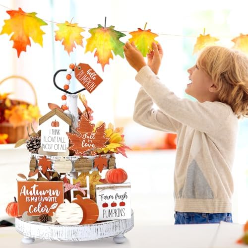 Reallnaive 18 Pcs Fall Tiered Tray Decor, Classic Vintage Pumpkin Signs - Image 6