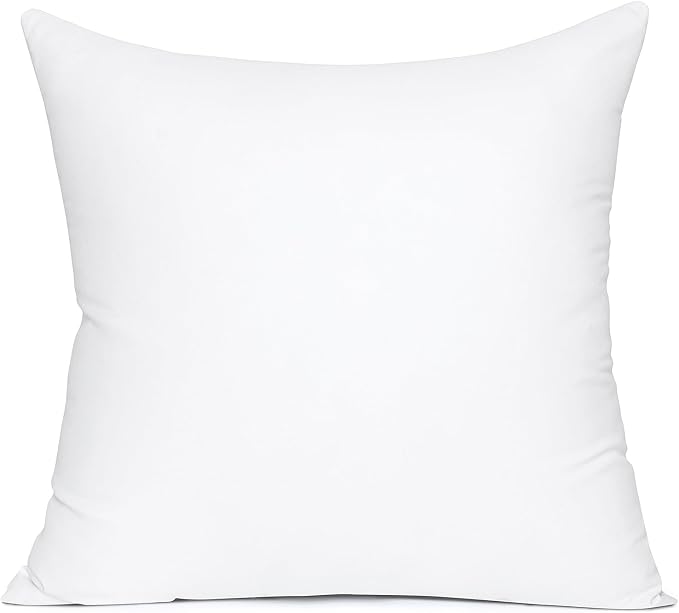 MIULEE 22x22 Pillow Insert, Premium Throw Pillow by MIULEE