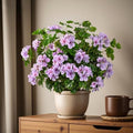 Artificial Geraniums for Outdoors, 8 Stems 17.7 Inch Purple Faux Geranium Bush Fake Flowers UV Resistant Fall Porch Patio Garden Planter Window Box Indoor Decor, Pot Not Included by ENALGRE