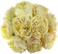 2 Bouquet 10Heads Artificial Fake Peony Flowers Silk Faux Flower for Home Office Party Wedding Decorations by SOFTKIDS