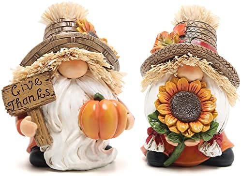 Hodao 2pcs Thanksgiving Gnomes Decor, Fall Decorations for Home by Hodao
