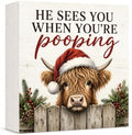 Christmas Highland Cow Bathroom Decorations Funny Wooden Box Sign by GUDIO