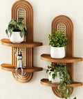 Floating Shelves for Wall,Boho Home Wall Decor,2-Tier Rattan Plant Shelf,Mid Century Hanging Small Decorative Shelf,Natural Wood Shelves for Living Room,Bedroom,House,Office,2-Pack (Walnut) by Hongsane