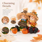Hodao Thanksgiving Decorations Indoor Fall Scarecrow Couple Resin Figurine - Image 7
