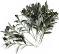 Fake Plants Artificial Olive Branches 10” Fake Greenery Small Olive Leaves Stems, Faux Tree Branch Greenery Stem Silk Plant for Home Decor Office Wedding Bouquets Party DIY Decoration 20 Pcs (No Vase) by CATTREE